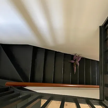 Seraph House, * 요크