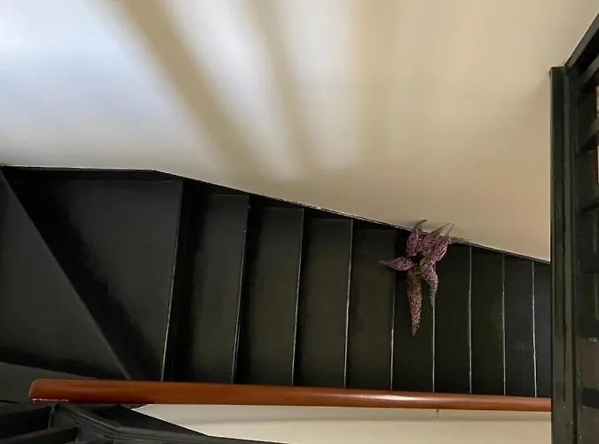 Seraph House, * ヨーク